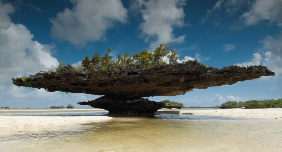 Aldabra Atoll, Aldabra Group, Seychelles